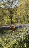 IMG_0199.jpeg