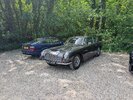 PXL_20250504_100134412.MP.jpg