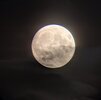 PXL_20250512_001559582.NIGHT.jpg