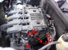 untitled.webp