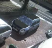 carbon clio.webp