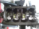 DSC00237 (Medium).webp