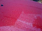 photo.webp