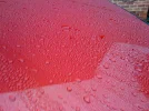 photo2.webp