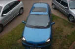 clio at craigs.webp