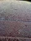 photo1.webp