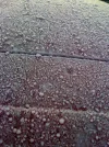 photo2.webp