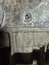 x20250430_182046_RS.jpg