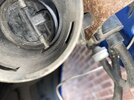 IMG_3923.jpeg