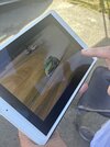 IMG_1936.jpeg