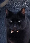 IMG_9870.jpeg