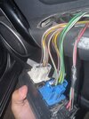 IMG_7178.jpeg