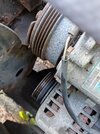 PXL_20250806_085544669.jpg