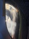 IMG_2949.jpeg