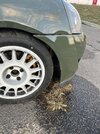 IMG_7789.jpeg