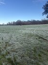 IMG_5457.jpeg
