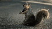 200.gif