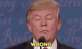 IMG_0731.gif