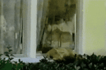 200.gif