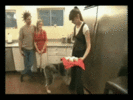 200.gif