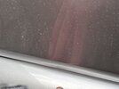 IMG_9965.jpeg