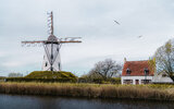 DSC08480-Edit.jpeg