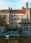 DSC08419-Edit.jpeg