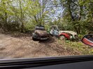 PXL_20260426_125121683.jpg