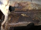 IMG_0570.jpeg