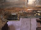 IMG_0594.jpeg