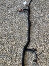 IMG_0565.jpeg