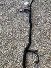 IMG_0565.jpeg