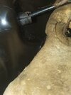 20260520_195403.jpg
