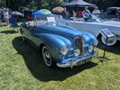 PXL_20260524_111145353.jpg