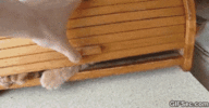 200.gif