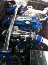 IMG_3394.jpeg