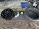 IMG_2746.JPEG