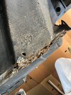 IMG_9699.jpeg