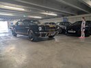 PXL_20260621_101743381.MP.jpg