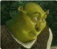 side-eye-shrek.webp side-eye-shrek.webp