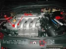 Oil1.webp