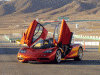F1-5.gif
