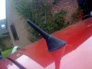 photo1.webp