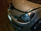 04042009056.webp