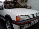 DSC02519.webp