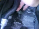 DSC00064.webp