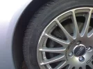 13022006049.webp