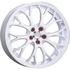 COMPOMOTIVE_CXR.webp
