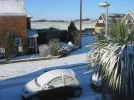 snow2.webp