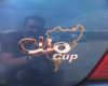 Reanaultsport Clio 172 Cup Nurbergring.jpg